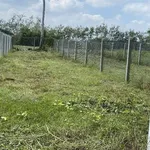 Bán đất Giồng Cà Bình Minh Tây Ninh 150m2, 199 triệu - Ảnh thu nhỏ 1