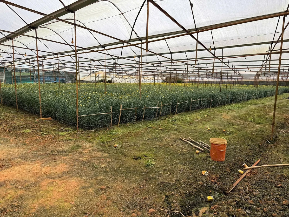 Bán đất 4000m² Hồ Than Thở, Đà Lạt 26,9 tỷ - Ảnh thu nhỏ 3