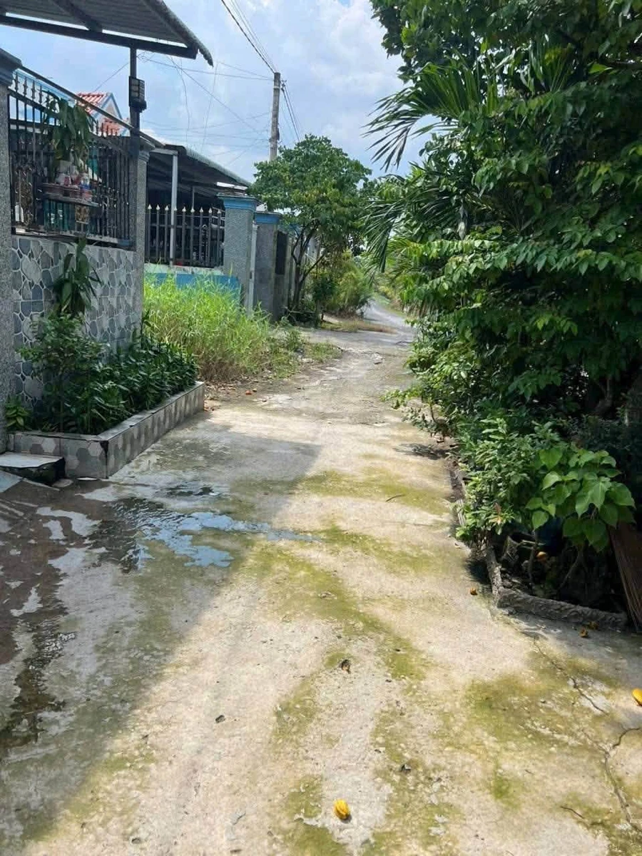 Bán đất thổ cư 5x22m giá 770 triệu tại xã Mỹ Lộc, Cần Giuộc - Ảnh thu nhỏ 2