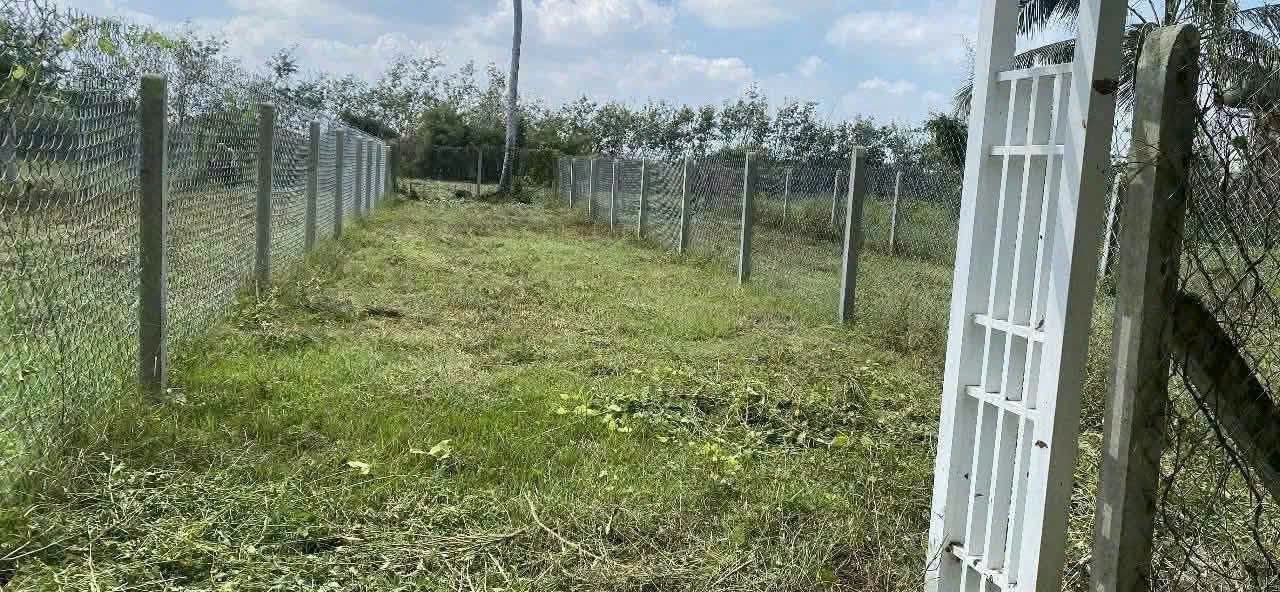 Bán đất nền 50m² Bình Minh Tây Ninh giá 199 triệu - Ảnh thu nhỏ 3