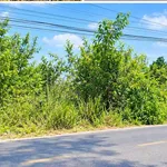 Bán đất Long Phước Đồng Nai 2.287m² mặt tiền 19,3m - Ảnh thu nhỏ 1