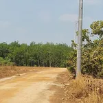 Bán đất Đồng Phú 1000m2, 700 triệu - Ảnh thu nhỏ 2