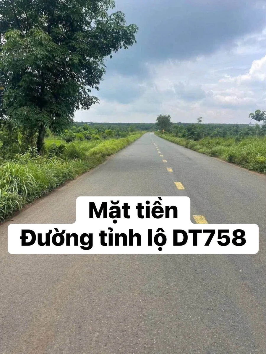Bán đất mặt tiền ĐT758 Hớn Quản 210m2, có 100m2 thổ cư, giá hơn 200 triệu - Ảnh 1