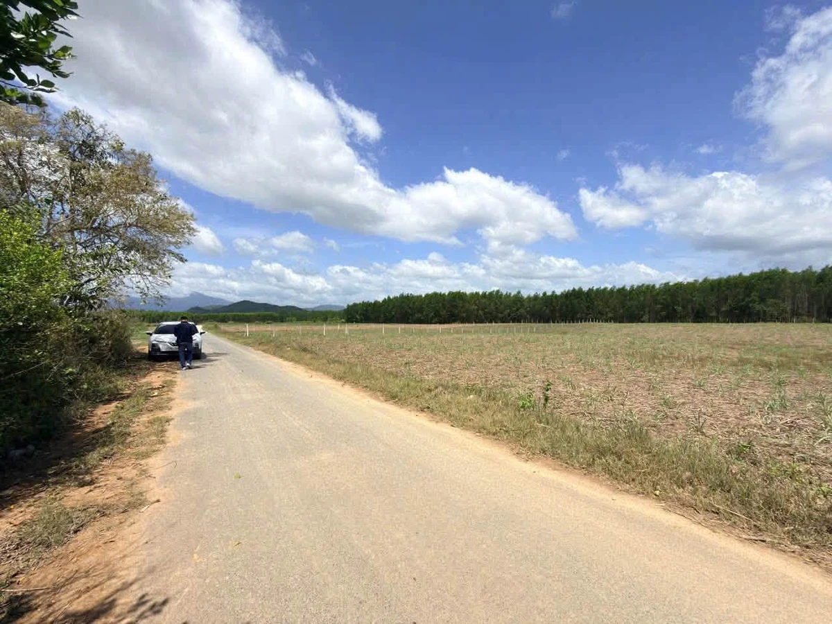 Bán lô đất 4139,5m2 Diên Đồng Nha Trang giá 1,7 tỷ - Ảnh thu nhỏ 4