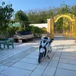 Bán nhà vườn 500m2 Tân Hiệp Tân Uyên - Ảnh thu nhỏ 2
