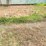Bán lô đất thổ cư 100m² Thanh Phú Bến Lức Long An - Ảnh thu nhỏ 3