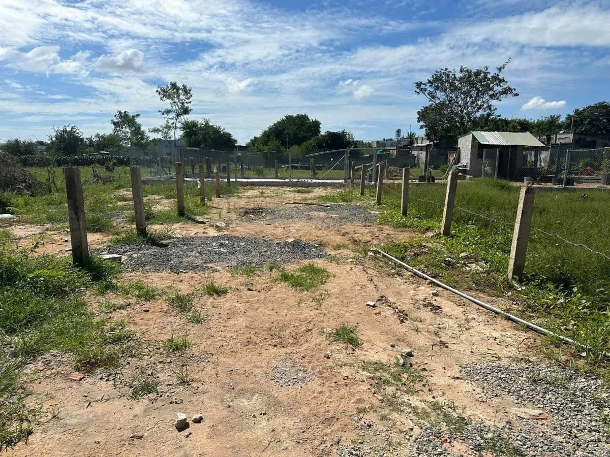 Bán lô đất 150m² thổ cư xã Hàm Liêm, Lâm Đồng, 490 triệu - Ảnh thu nhỏ 3