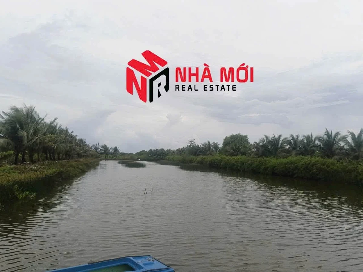 Bán đất vuông 36 công Ấp Cái Cám, Cà Mau - Ảnh thu nhỏ 2