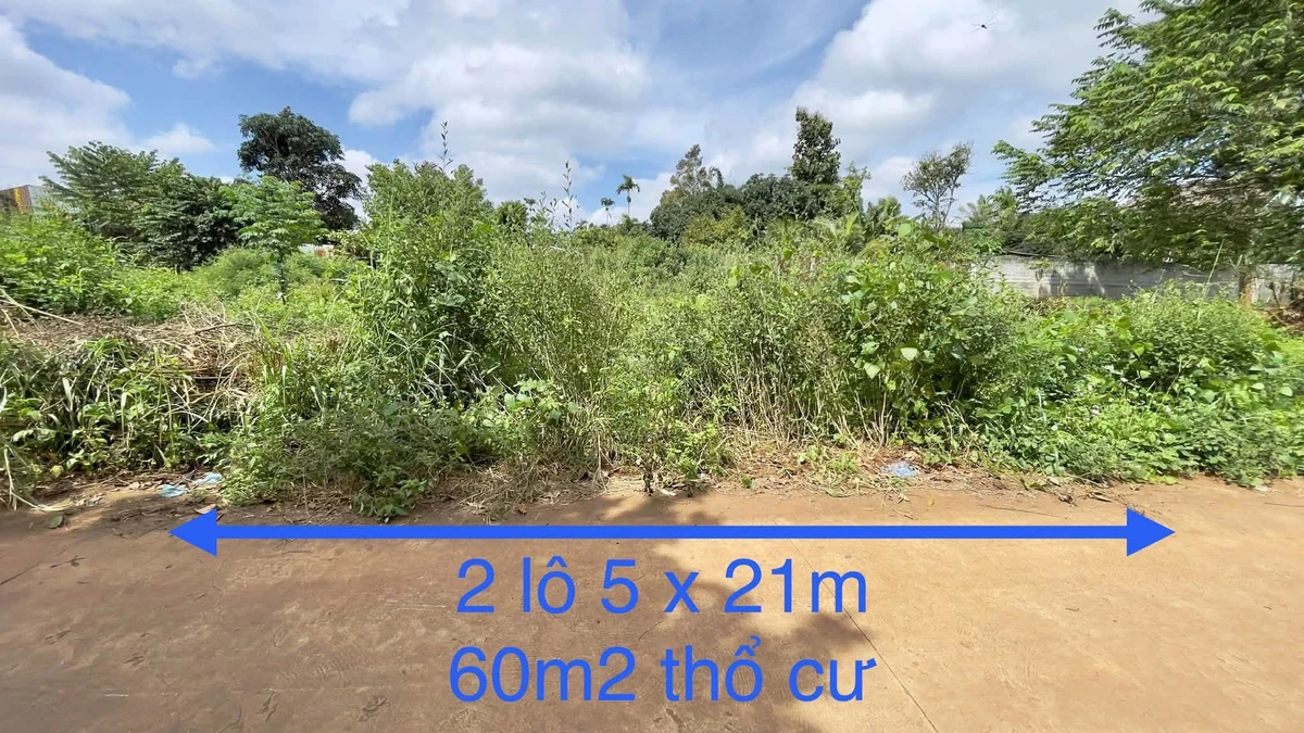 Bán đất 105m² gần Kotam, cách QL26 300m, Đắk Lắk - Ảnh thu nhỏ 2