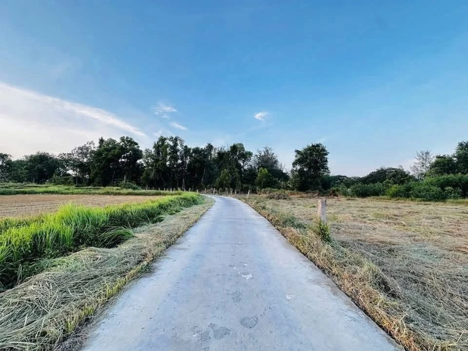 Bán đất cây trồng 1000m2 thôn 2 xã Hàm Liêm, Lâm Đồng giá 420 triệu - Ảnh thu nhỏ 3