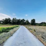 Bán đất cây trồng 1000m2 thôn 2 xã Hàm Liêm, Lâm Đồng giá 420 triệu - Ảnh thu nhỏ 3