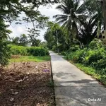 Bán đất mặt tiền 787m² Hữu Định, Phú Tân, Bến Tre - Ảnh thu nhỏ 3