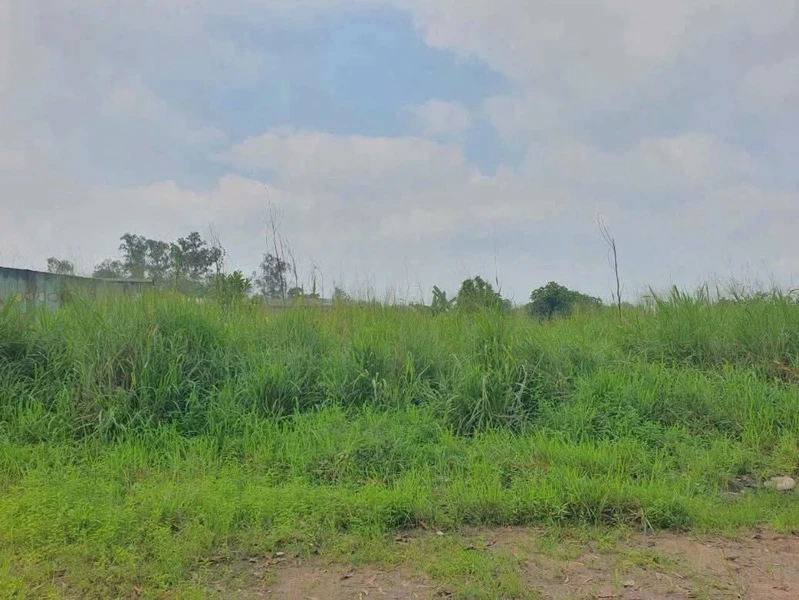 Bán đất góc 2 mặt tiền 5000m² Thiện Tân, Vĩnh Cửu, Đồng Nai
