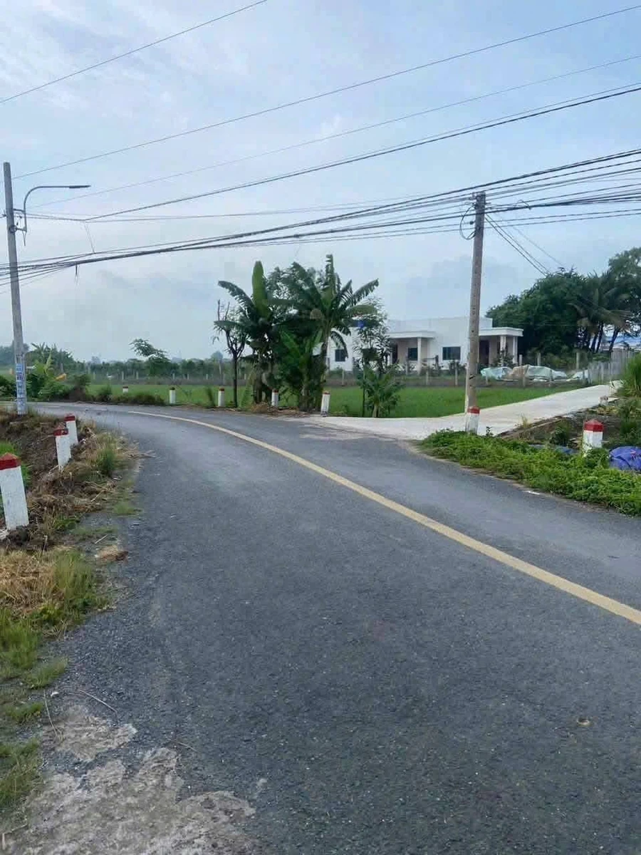 Bán đất thổ cư 130m2 mặt tiền Nguyễn Quang Đại, Cần Đước, Long An - Ảnh thu nhỏ 4