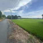 Bán đất full thổ cư P Mỹ Thới Long Xuyên An Giang. - Ảnh thu nhỏ 4