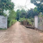 Bán khoảng 9 sào 7 (9745m2) đất phường Tân Thành, Tp. HCM). Giá 13 tỷ - Ảnh thu nhỏ 14