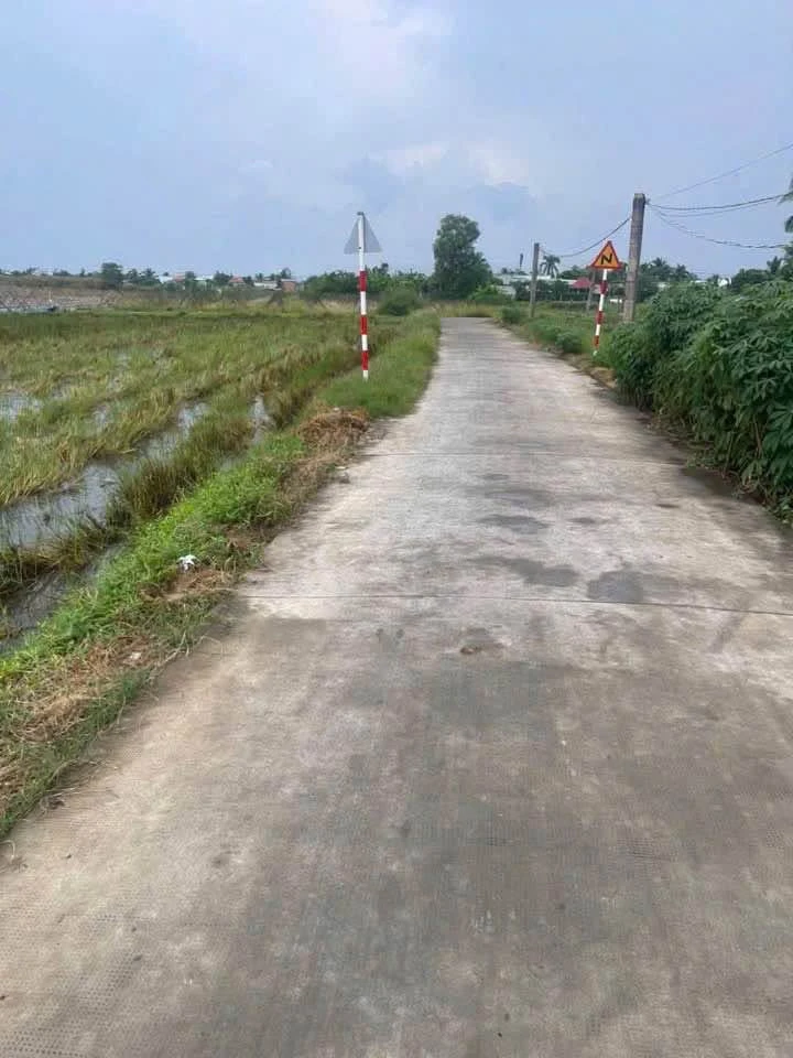 Bán 1000m² đất lúa chuyển đổi thổ cư Bến Lức, Long An - Ảnh thu nhỏ 2
