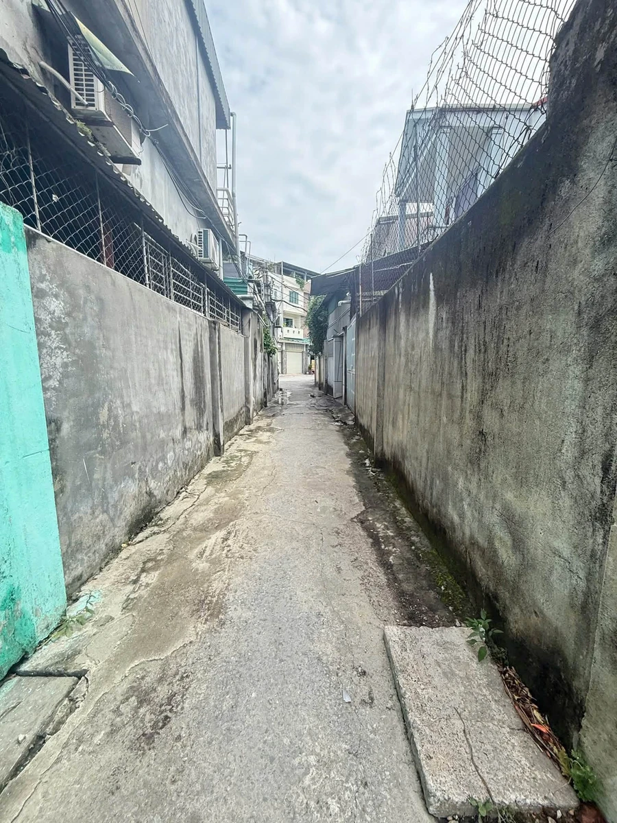Bán đất Hưng Phúc 63m² mặt tiền Thành Thái 3 tỷ - Ảnh thu nhỏ 3