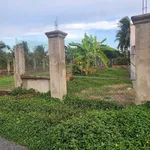 Bán đất mặt tiền Trần Văn Cầu An Hội 151m² - Ảnh thu nhỏ 4