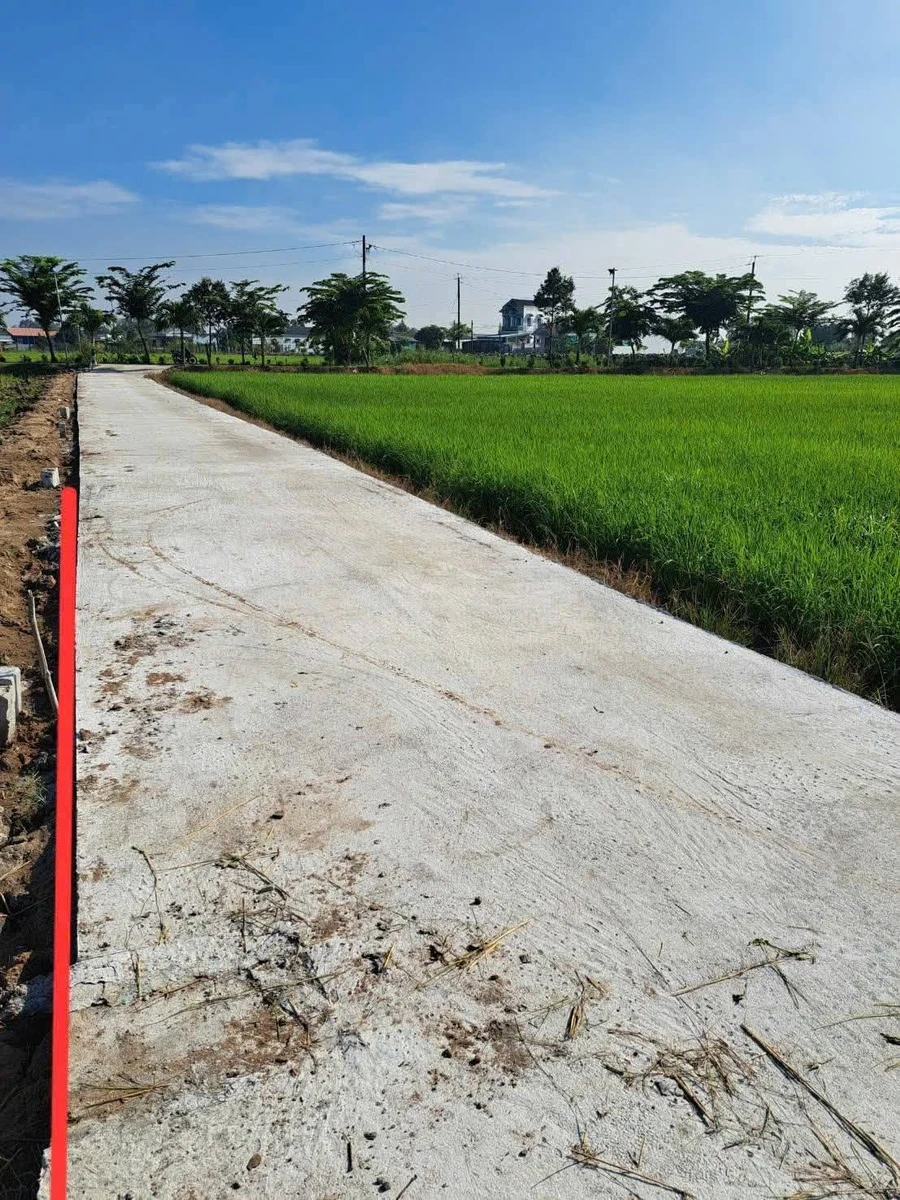 Bán 854 m² đất lúa Xã Vĩnh Công Nhà Bè 850 triệu - Ảnh thu nhỏ 3