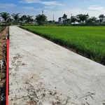 Bán 854 m² đất lúa Xã Vĩnh Công Nhà Bè 850 triệu - Ảnh thu nhỏ 3