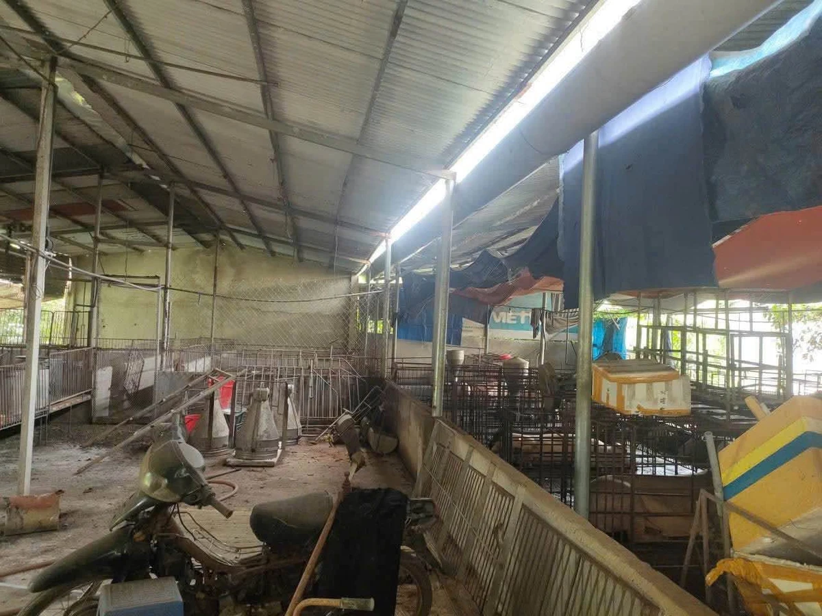 Bán nhà 3PN kèm trại heo 1000m2 Tây Hòa - Ảnh thu nhỏ 3