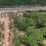 Bán đất vườn view hồ Trị An 1.500m2 mặt tiền 42m tại Túc Trưng, Định Quán - Ảnh thu nhỏ 3