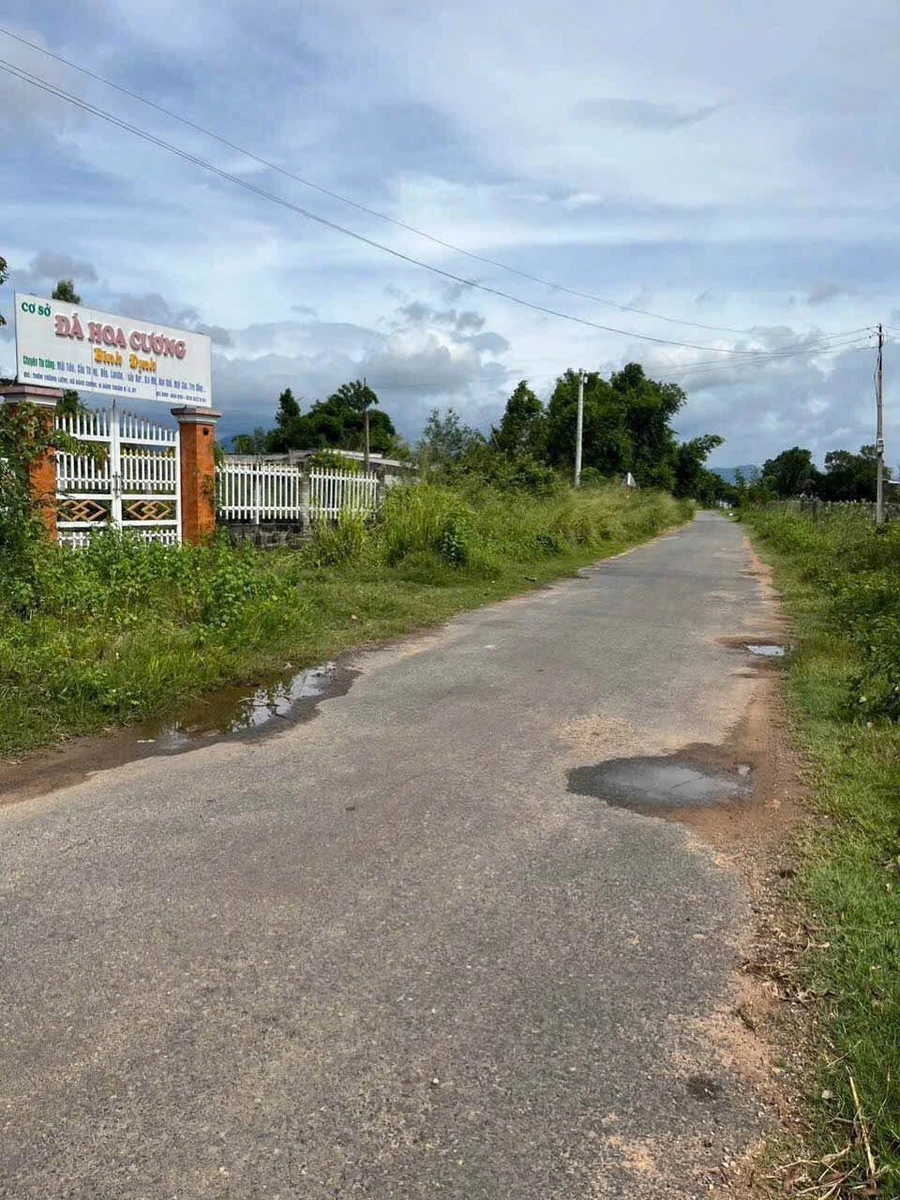 Bán đất mặt tiền Hàm Liêm 180m² Phan Thiết 550 triệu - Ảnh thu nhỏ 2