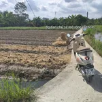 Bán lô đất 5×23m Long Trạch, Long An, 1 tỷ 1 - Ảnh thu nhỏ 1