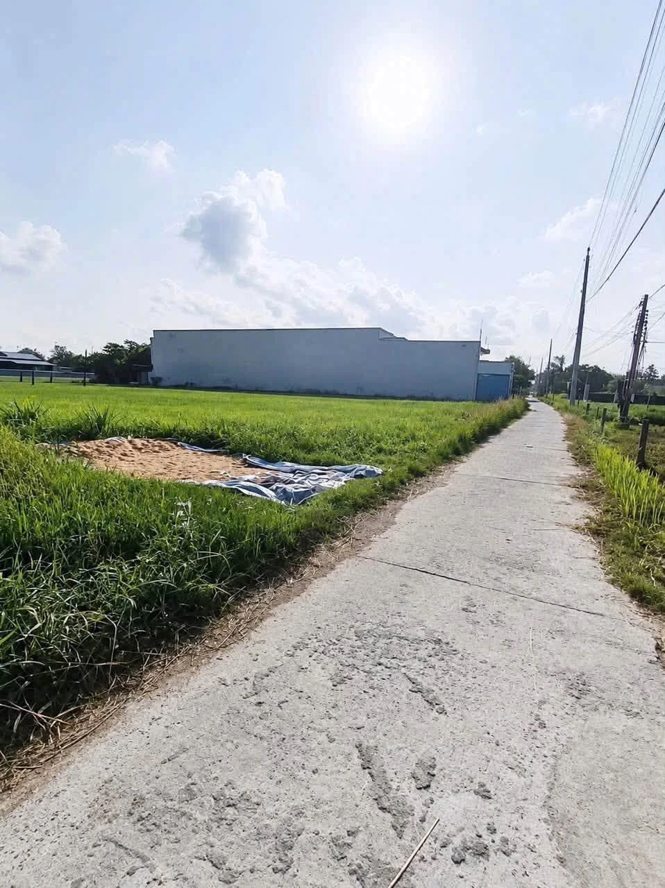 Bán lô đất thổ cư 130m² Tây Ninh 570 triệu - Ảnh 1