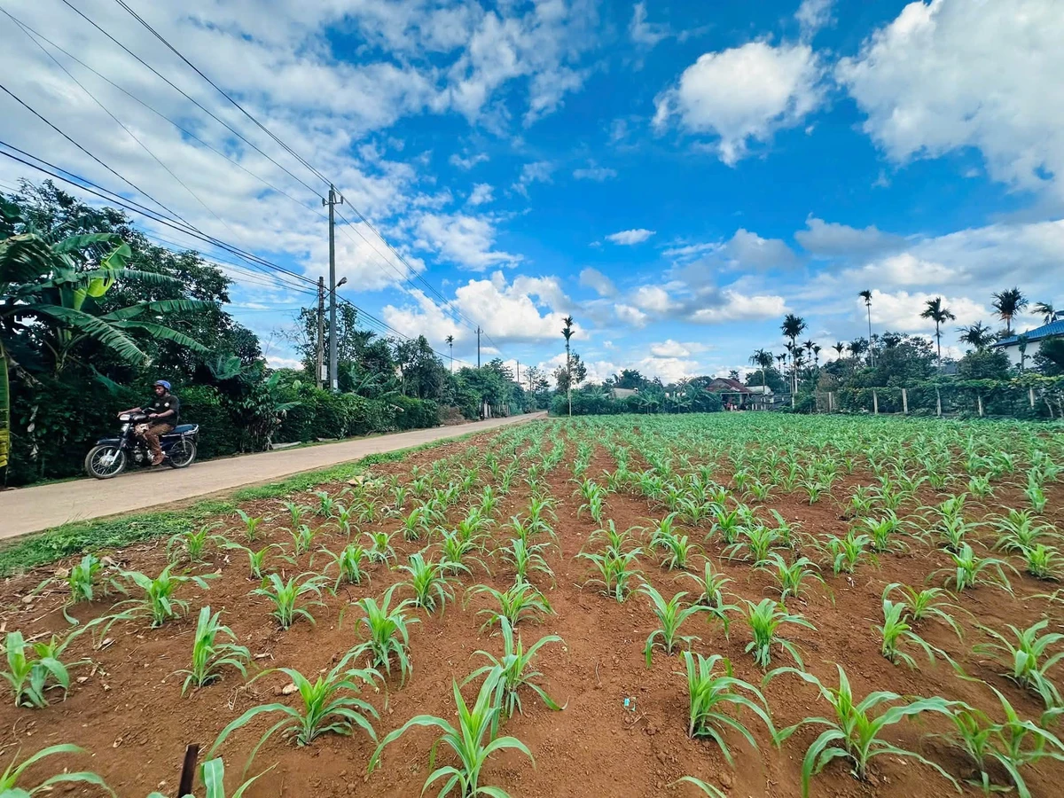 Bán đất nền 200m² Cuor Đăng 900 triệu - Ảnh thu nhỏ 3