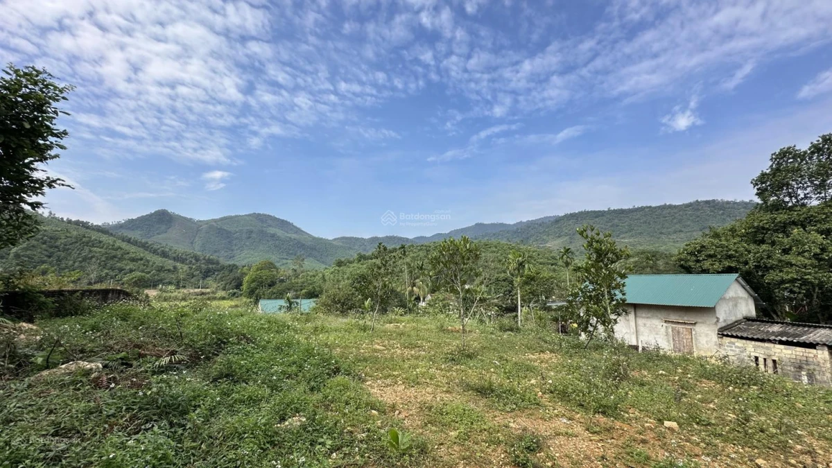 5,5 tỷ bán 1237m2/200m2 thổ cư tại Yên Xuân, Hà Nội - Ảnh thu nhỏ 2