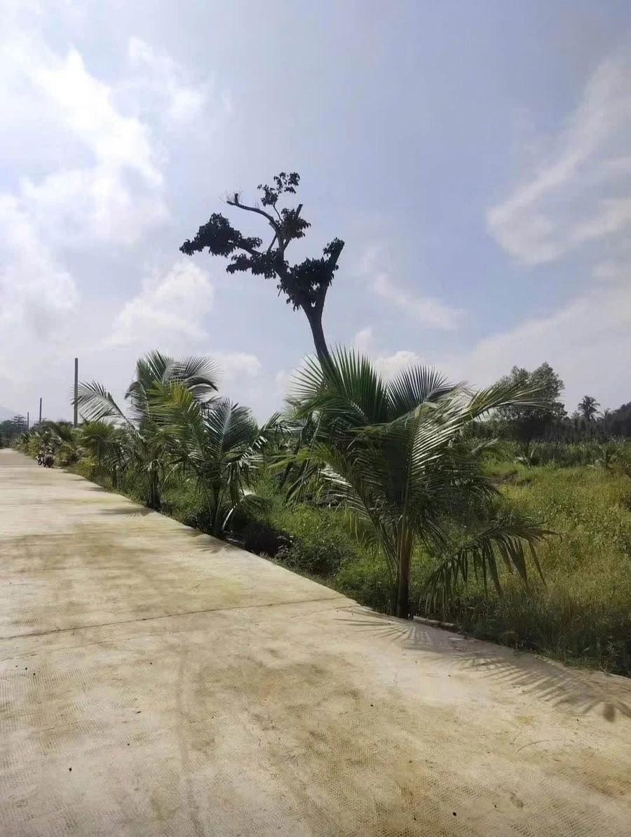 Bán 500 m² đất Bảo Vinh, Long Khánh - Ảnh 1