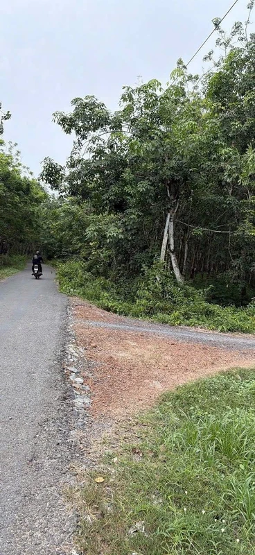 Bán đất 150m² mặt tiền Nhà Bè buom