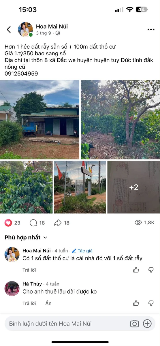 Bán đất rẫy 1 héc và đất thổ cư 100m² Đắk Nông giá hơn 1 tỷ - Ảnh 1