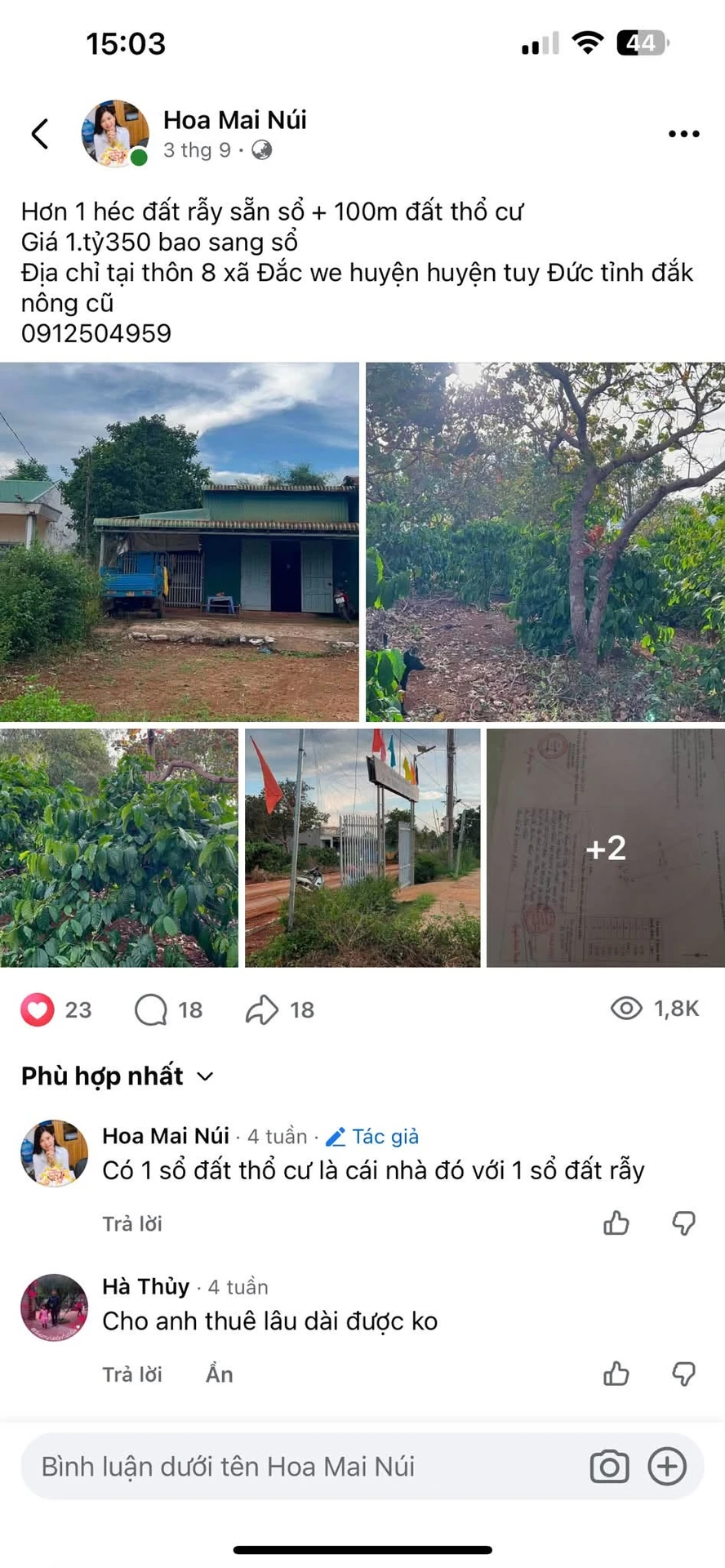 Bán đất rẫy 1 héc và đất thổ cư 100m² Đắk Nông giá hơn 1 tỷ - Ảnh 1