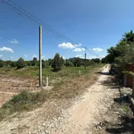 Bán đất thổ cư Đôn Thuận 140m² 420 triệu Tây Ninh - Ảnh thu nhỏ 4