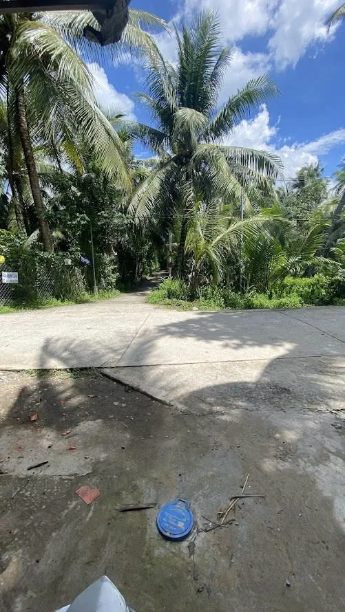 Bán đất 2.700m² (300m² thổ cư) Xã Lương Phú, Bến Tre - Ảnh thu nhỏ 2