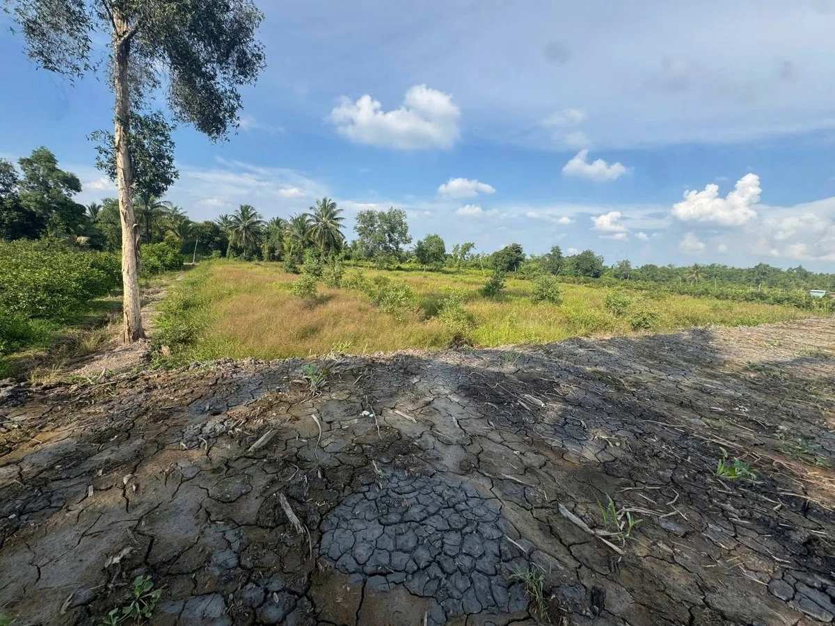 Bán 1000m2 đất Ấp 2 Lương Bình, Hóc Môn, 750tr/1000m2 - Ảnh thu nhỏ 2