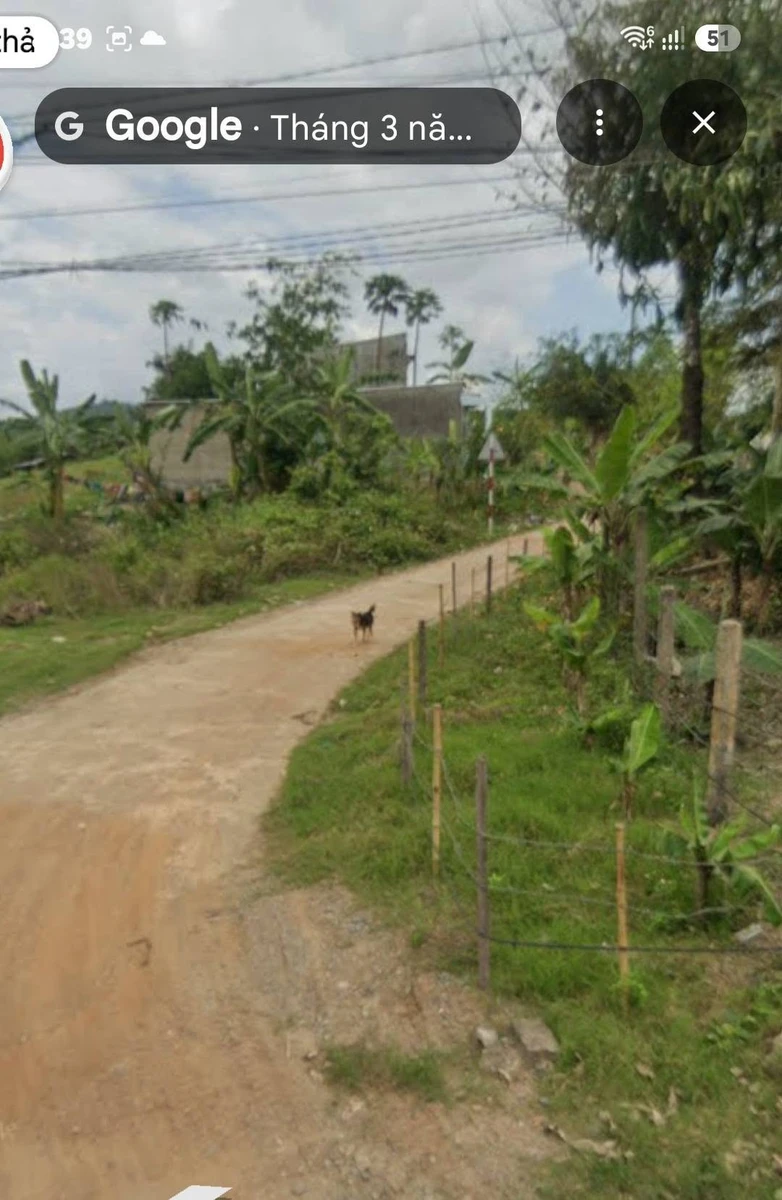 Bán đất 3483 m2 Xã Trung Khánh Vĩnh, Khánh Hòa - Ảnh thu nhỏ 2
