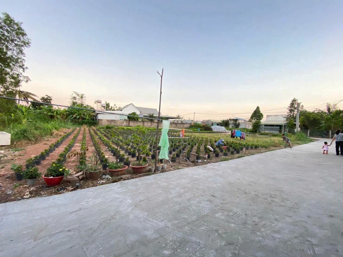 Bán đất thổ cư 223m² ở Trảng Bom, Bình Dương giá 7 tỷ - Ảnh thu nhỏ 2