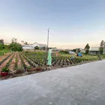 Bán đất thổ cư 223m² ở Trảng Bom, Bình Dương giá 7 tỷ - Ảnh thu nhỏ 2