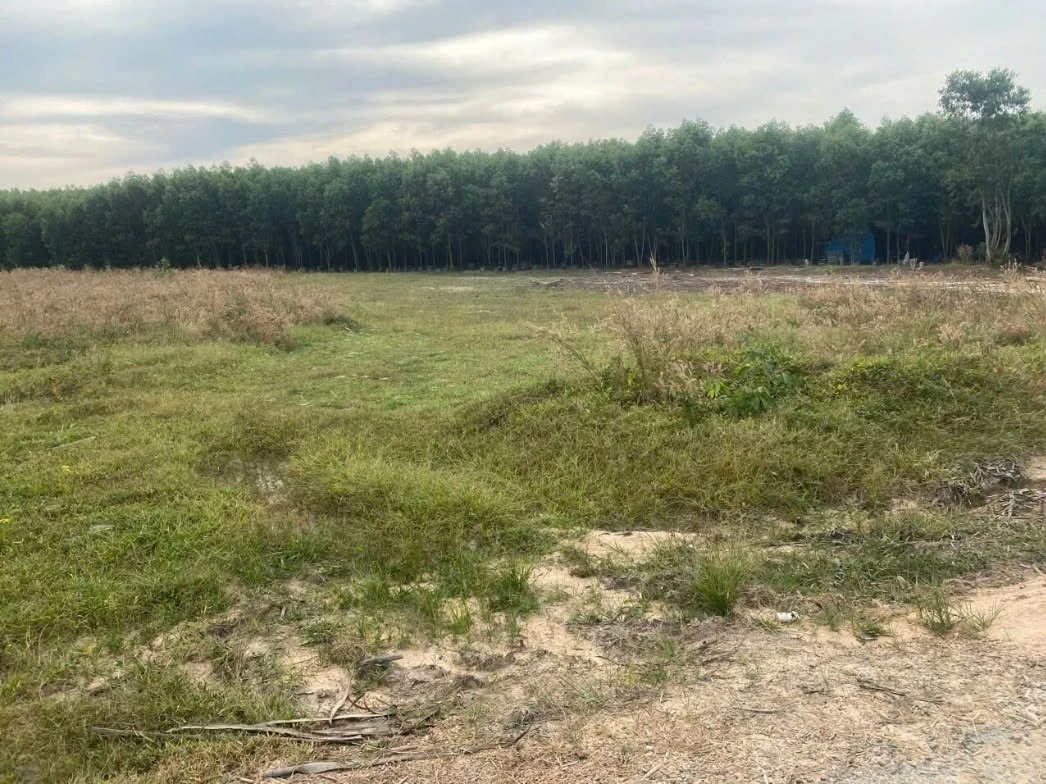 Bán đất sào 2000m² mặt đường Lê Đức Thọ Lagi, 750 triệu - Ảnh 1