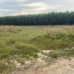 Bán đất sào 2000m² mặt đường Lê Đức Thọ Lagi, 750 triệu - Ảnh thu nhỏ 1