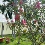 Nhà vườn 1 phòng ngủ 1.600m² Hàm Chính 1 tỷ 790 - Ảnh thu nhỏ 2