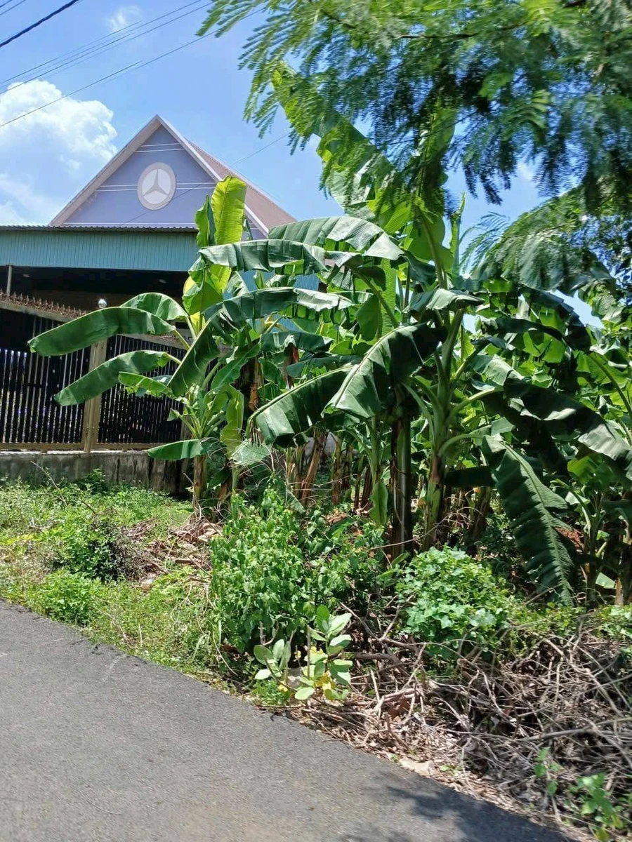 Bán lô đất vườn góc 2 mặt tiền 2000m² Hòa Long 7,5 tỷ - Ảnh thu nhỏ 2