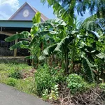 Bán lô đất vườn góc 2 mặt tiền 2000m² Hòa Long 7,5 tỷ - Ảnh thu nhỏ 2