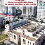 Shophouse kinh doanh 250-350m² Ocean City từ 6-8 tỷ - Ảnh thu nhỏ 3