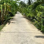 Bán đất vườn dừa 1160m² Phú Tân 1 tỷ 700 triệu - Ảnh thu nhỏ 1