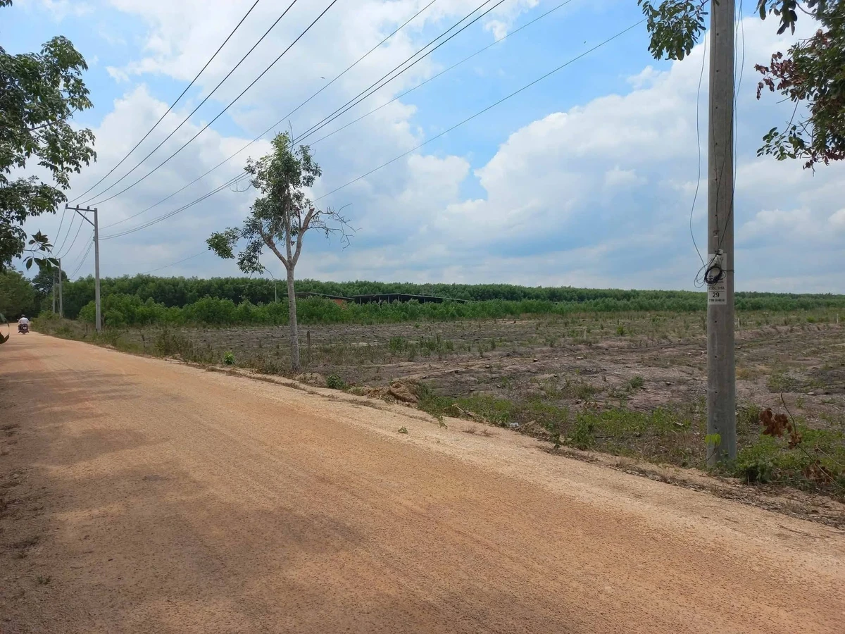 Bán 2ha đất nền Trà Tân, Lâm Đồng, giáp Đồng Nai - Ảnh 1